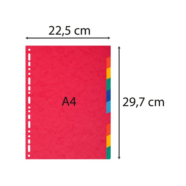 Exacompta 10x Skillevaegge, A4, 225 gsm, 10 dele - assorterede farver 1410E