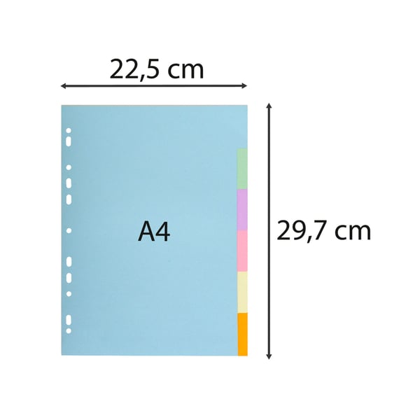 Exacompta 50x Forever Recycled Pastel Dividers, 6 dele, A4 - assorterede farver 1606E