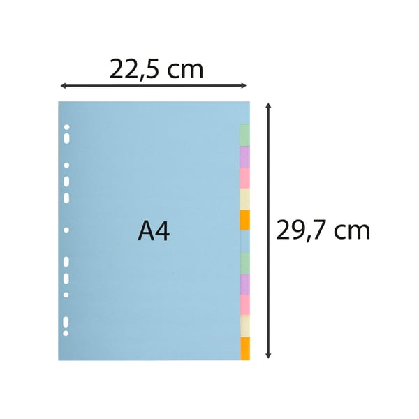 Exacompta 25x Forever Recycled Pastel Dividers, A4 (12 dele) - assorterede farver 1612E