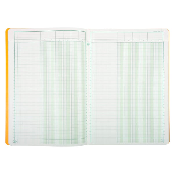 Exacompta Haefte 6 kolonner på 1 side 34 linjer 80 sider 29,7x21cm - assorterede farver 17060E