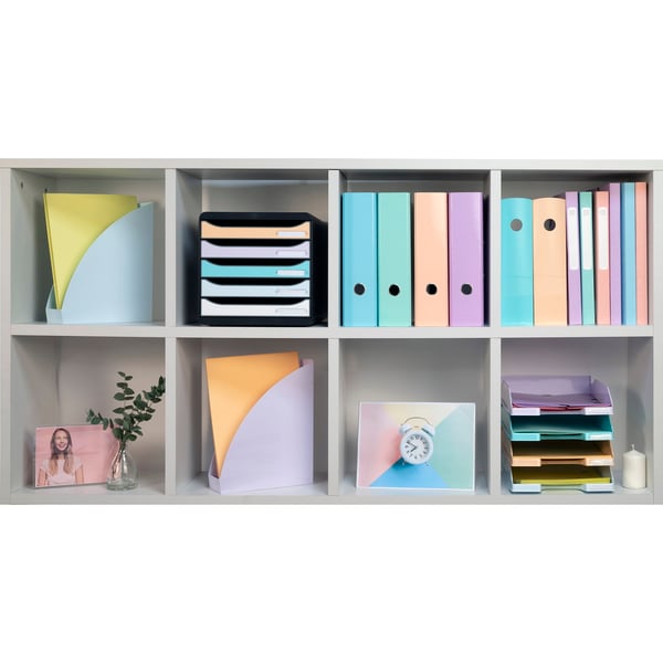 Exacompta 6x MAG-CUBE Plastic Magazine File - Koral 18261D