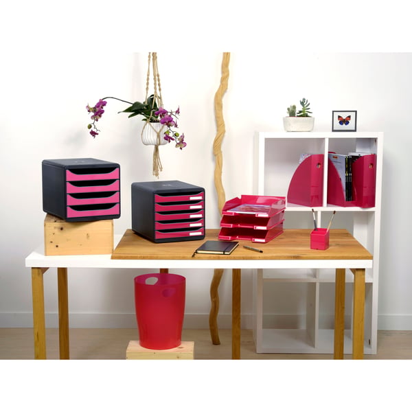 Exacompta 6x MAG-CUBE Plastic Magazine File - Hindbær 18284D