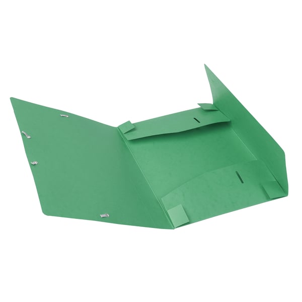 Exacompta 25x Mappe med elastik Cartobox 25mm ryg A4 - Grøn 18503H