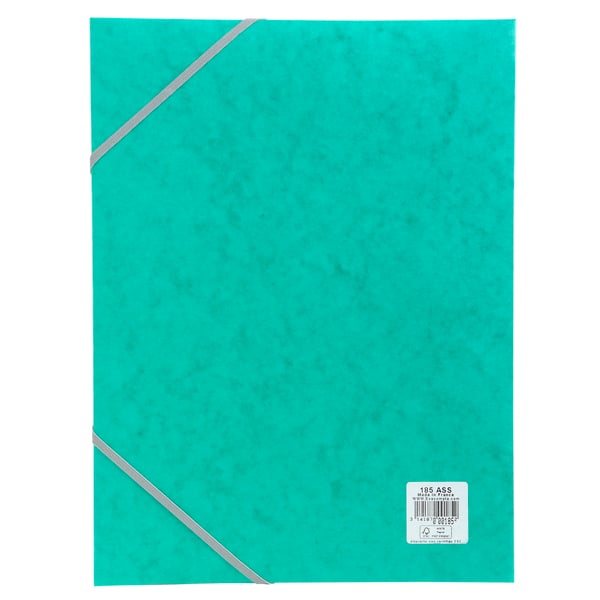 Exacompta 25x Mappe med elastik Cartobox 25mm ryg A4 - Grøn 18503H