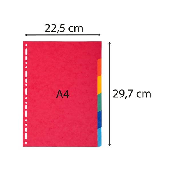 Exacompta 50x Recycled Vivid Dividers, A4, 220gsm, 6 dele - assorterede farver 2006E