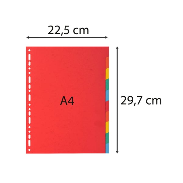 Exacompta 25x Recycled Vivid Dividers, A4, 220gsm, 10 dele - assorterede farver 2010E