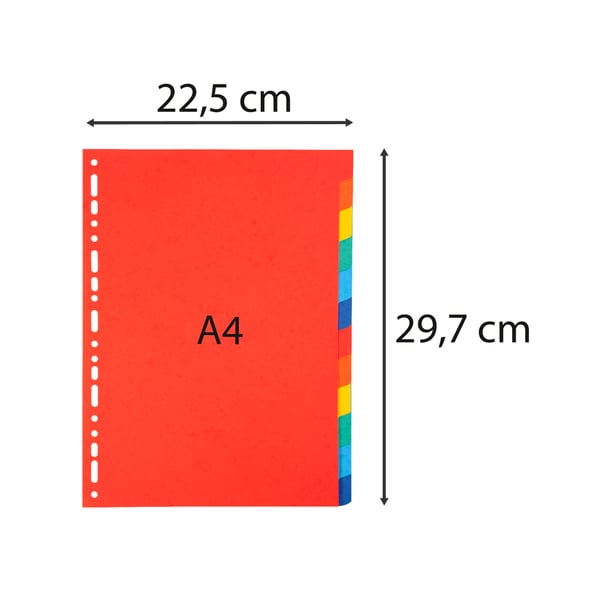 Exacompta 25x Recycled Dividers, A4, 220gsm, 12 dele - assorterede farver 2012E