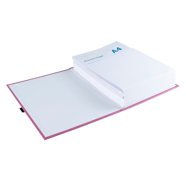 Exacompta 10x Folder til udvidelse af rygsøjlen N'Clip - assorterede farver 21590E