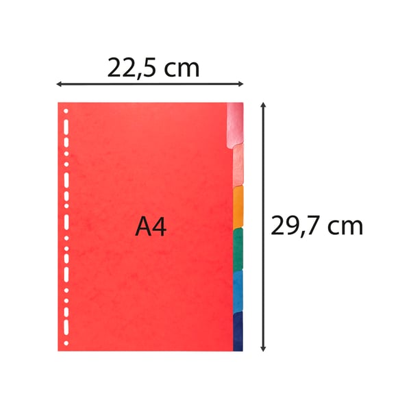 Exacompta 25x Dividers Premium Pressboard, A4, 225gsm, 6 dele - assorterede farver 2206E