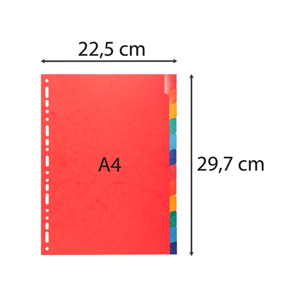 Exacompta 15x Dividers Premium Pressboard, A4, 225gsm, 12 dele - assorterede farver 2212E