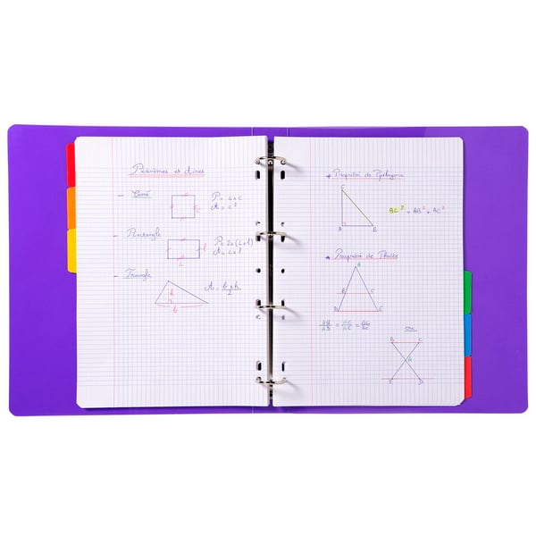 Exacompta 20x Dividers, A4, 160gsm, 6 dele - hvid 2306E