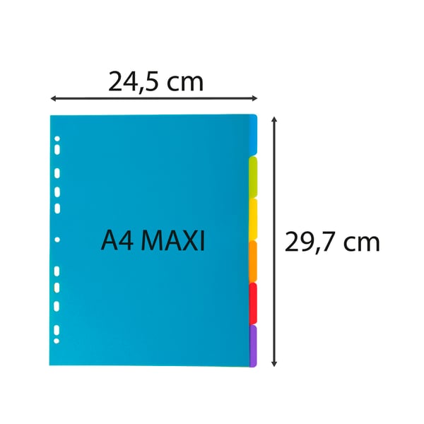 Exacompta 25x Campus PP Dividers, A4 maxi, 6 dele - Gennemsigtig 3806E