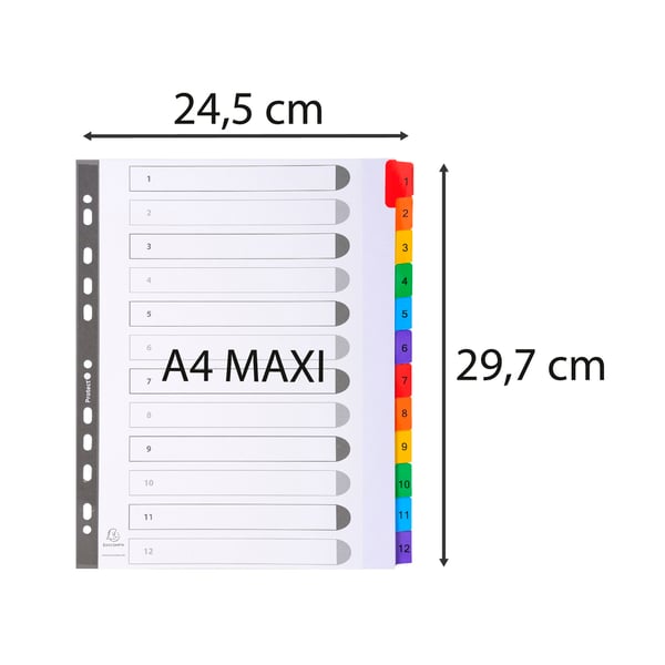 Exacompta 20x Dividers hvid Farve Tabs A4 Maxi 6 del 1,12 - hvid 4112E