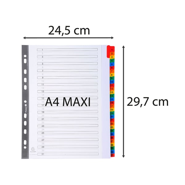 Exacompta 10x Mylar trykte indekser, A4 Maxi, 31 del 1 til 31 - hvid 4131E