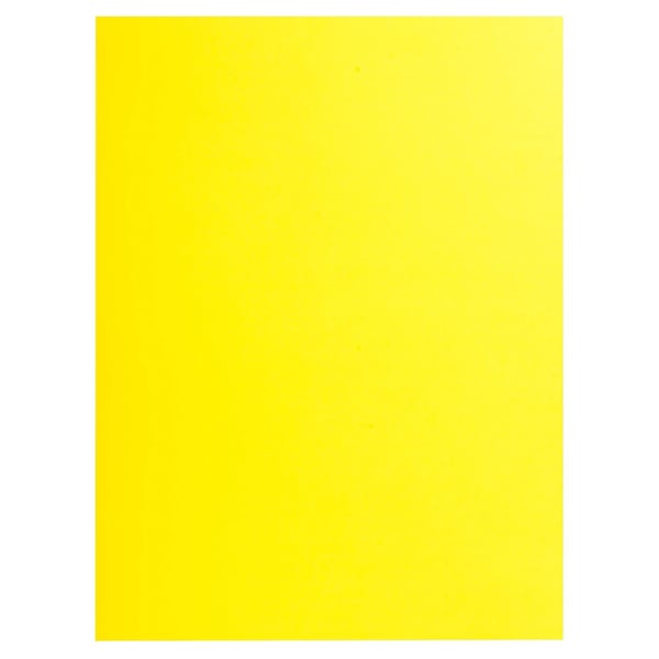 Exacompta 10x Pakke med 25 dobbeltlommemapper ROCK S 210 dobbelt A4 eller A3 - 24x32 - assorterede farver 415000E
