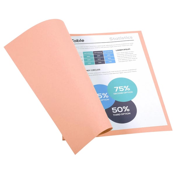 Exacompta 5x Forever Omslagsmapper 170gsm 24x32cm - Lyserød 420003E