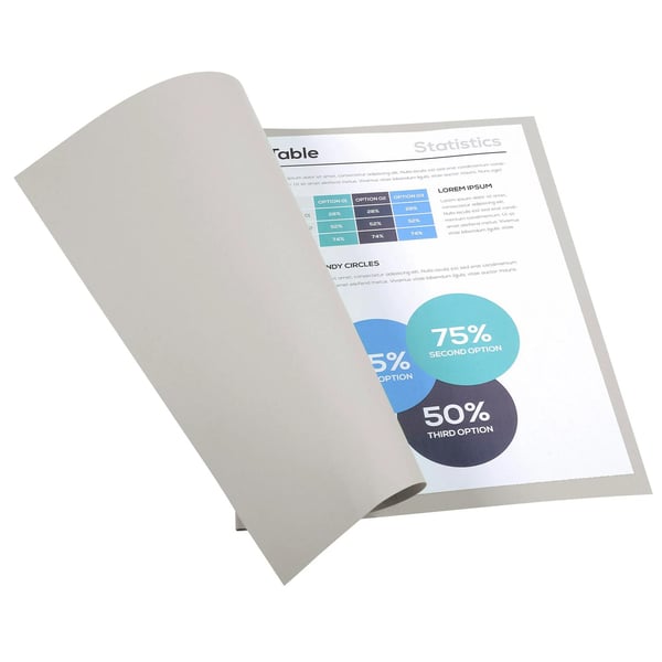 Exacompta 5x Forever Omslagsmapper 170gsm 24x32cm - Grå 420009E