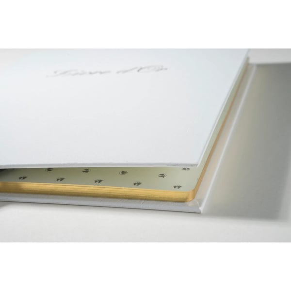 Exacompta 2x Exacompta Balacon gaestebog (fransk omslag) - hvid 4982E