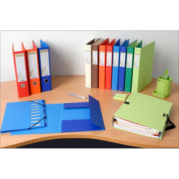 Exacompta 6x Forever Recycled Harmonika Multipart File, A4 - Lyseblå 52982E