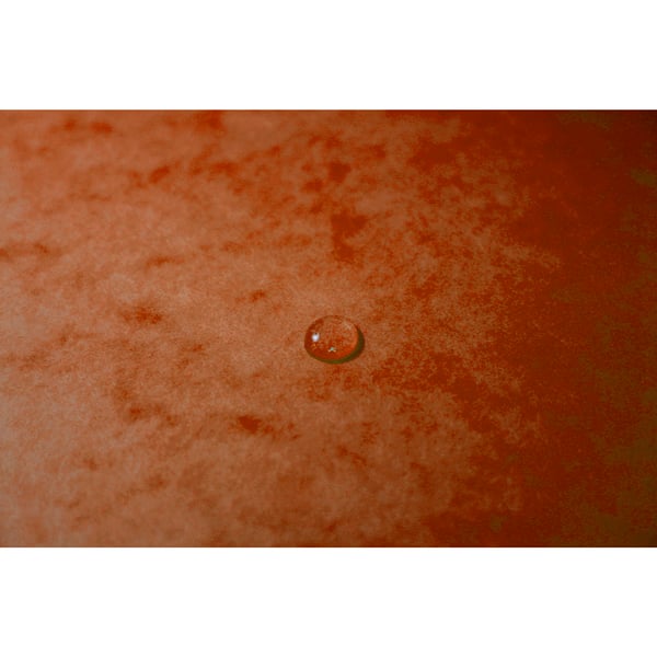 Exacompta 10x Haeftet mappe med flere dele med elastik (12 rum, A4) - orange 541204E