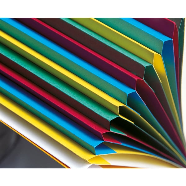 Exacompta 6x Harmonika Multipart File, A4, 12 sektioner, 425gsm - Rød 55125E