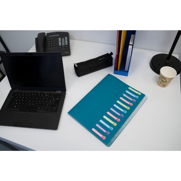 Exacompta 10x Opak Multipart File, A4 (12 sektioner) - assorterede farver 55180E