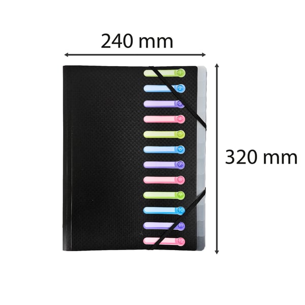 Exacompta 10x Opak Multipart File, A4 (12 sektioner) - Sort 55981E