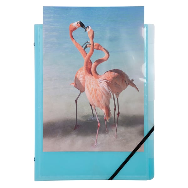 Exacompta 10x Kreacover Milti Part File 8 Compart, Pastel Assorted - assorterede farver 56279E