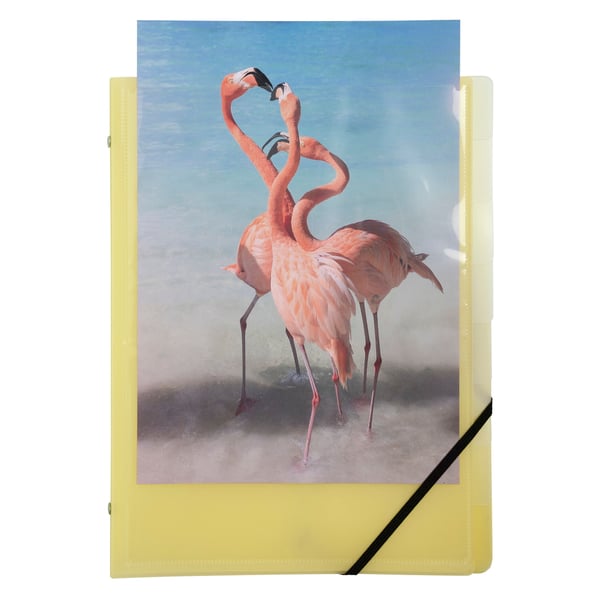 Exacompta 10x Kreacover Milti Part File 8 Compart, Pastel Assorted - assorterede farver 56279E