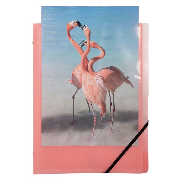 Exacompta 10x Kreacover Milti Part File 8 Compart, Pastel Assorted - assorterede farver 56279E