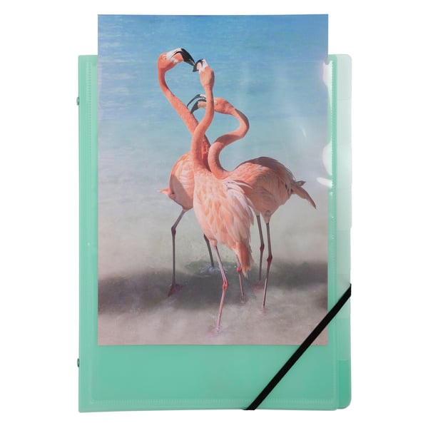 Exacompta 10x Kreacover Milti Part File 8 Compart, Pastel Assorted - assorterede farver 56279E