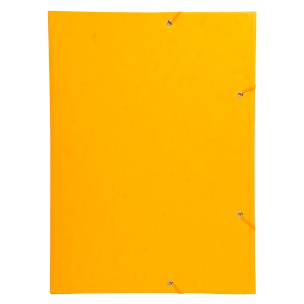 Exacompta 10x 3-klap mappe med elastik og elastik i 600 g/m2 meleret presspap - A3 - assorterede farver 59500E