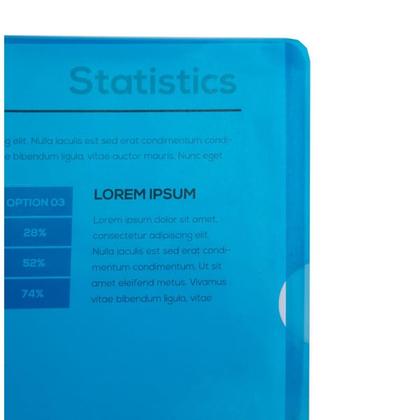 Exacompta 2x Exacompta PVC-skaeret flush mappe, A4, pose med 50 - assorterede farver 661000E