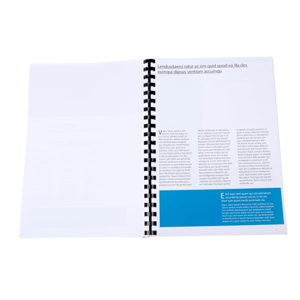 Exacompta plastbinderkamme, 20 mm tykke, A4 (aeske med 100 stk.) - Sort 75601E