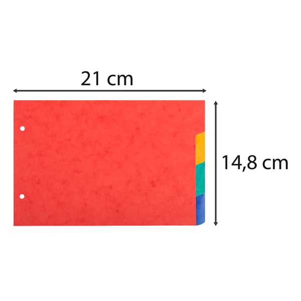 Exacompta 10x Skillevaegge til pladskort 225gsm karton 4 dele - A5 148x210mm - assorterede farver 804E