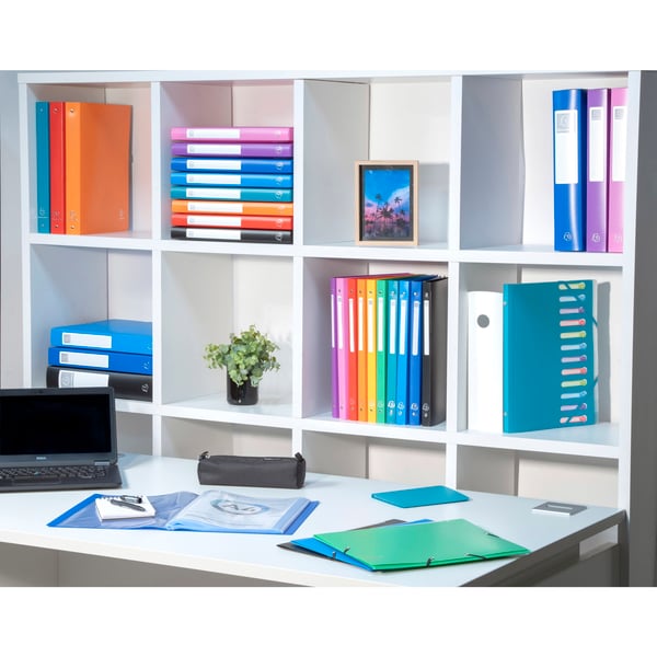 Exacompta 10x OPAK 0,5mm polypropylen Display Book Krystallommer 80 lommer, A4 - Rød 8845E