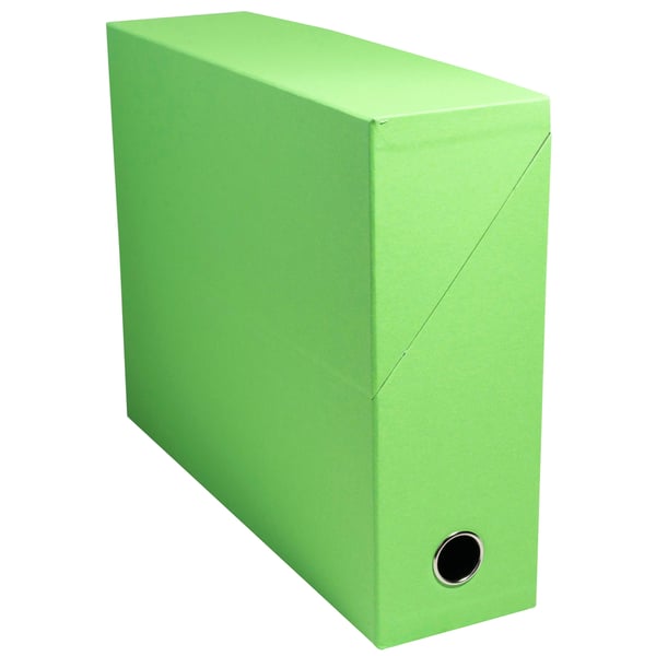 Exacompta 5x Salsa Bright Transfer Boxes, A4 - assorterede farver 89329E