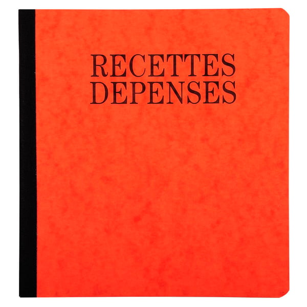 Exacompta 5x PIQ. 21/19 RECETTES-DEPENSES 80 SIDER - assorterede farver 930E