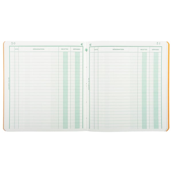 Exacompta 5x PIQ. 21/19 RECETTES-DEPENSES 80 SIDER - assorterede farver 930E