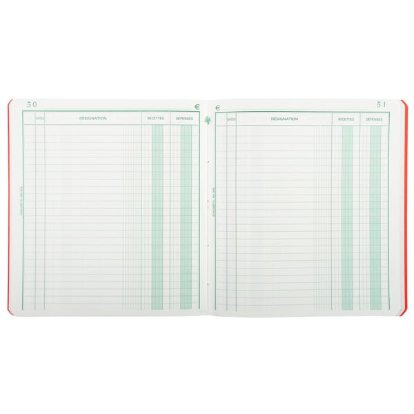Exacompta 5x PIQ. 21/19 RECETTES-DEPENSES 80 SIDER - assorterede farver 930E