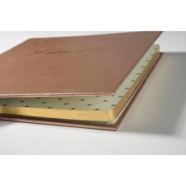 Exacompta 5x Iridescent Balacon Gaestebog (fransk omslag) - assorterede farver 984E