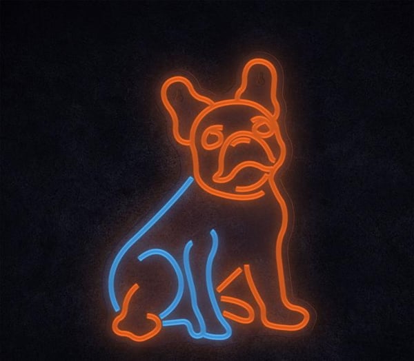 LED Neon Manta-stillampor Hund Fransk Bulldogg SNL68MT
