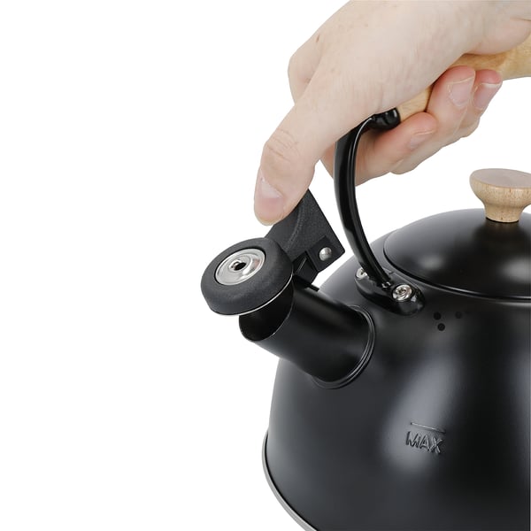 Fløjtekedel 1,6 L Sort / La Cafetiere