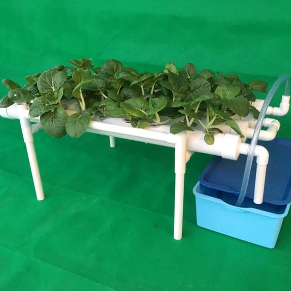Hydroponisk dyrkningssæt - 1-lags system - 36 plantehuller - Huldiameter 3,2 cm - PVC-U - Vandsparende - Lavendel