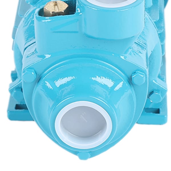 Industriel vandpumpe - Cirkulations-/boosterpumpe - 220 V - 370 W - 2850 O/min - Høj effekt - Have/industri - 5,3 kg - Blå
