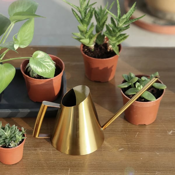Vandkande i rustfrit stål, 1,3 l, blå, til potte-, stue-, terrasse- og hængeplanter