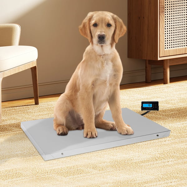 Digital kæledyrsvægt - Platformvægt - Rustfrit stål - Max 300 kg - Min 0,4 kg - LCD-skærm - Netadapter eller 4× AA - 103,5×53×4 cm - Sølv