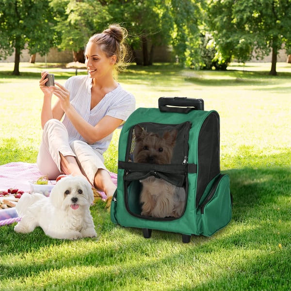 Transportväska för hund - 2-i-1 Vagn/Ryggsäck - Med hjul - För små hundar - Metallram - 42×25×55 cm - Grön