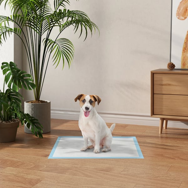 Hund- och valpträningspads - Absorberande underlägg - 100-pack - 45×60 cm - 6-lagers design - Vattentät PU-baksida - Blå