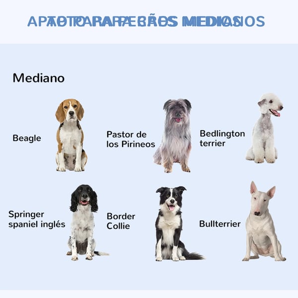 Hundbur - Transportbur - Metall - 106x68x76 cm - För medelstora hundar - Svart